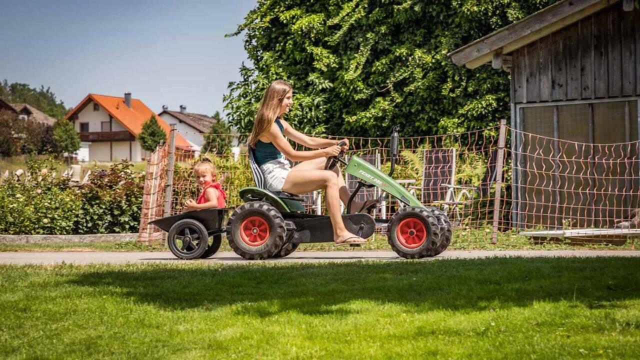 Urlaub Am Regen - Ferienhof Dirnberger Nittenau Zewnętrze zdjęcie